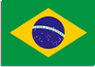Brazil Flag Illustration