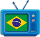 Blue television displaying the Brazilian flag on the tube